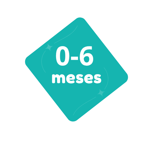 0-6 meses