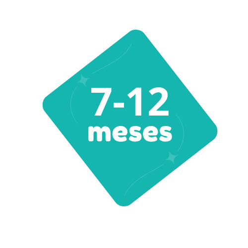 7-12 meses