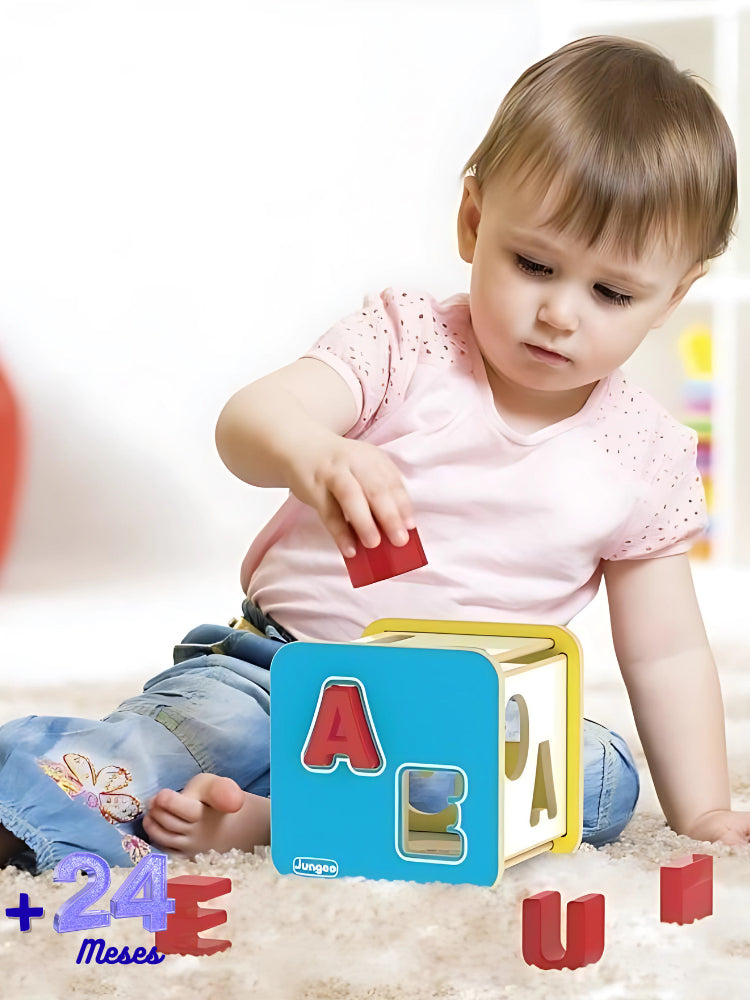 Cubo Didático de Encaixe de Letras Educacional em Madeira MDF