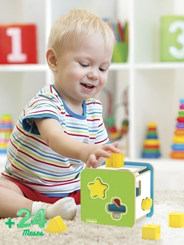 Cubo Didático de Encaixe de Formas Geométricas Educacional em  Madeira MDF