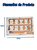 Educaplay - Labirinto Magnético